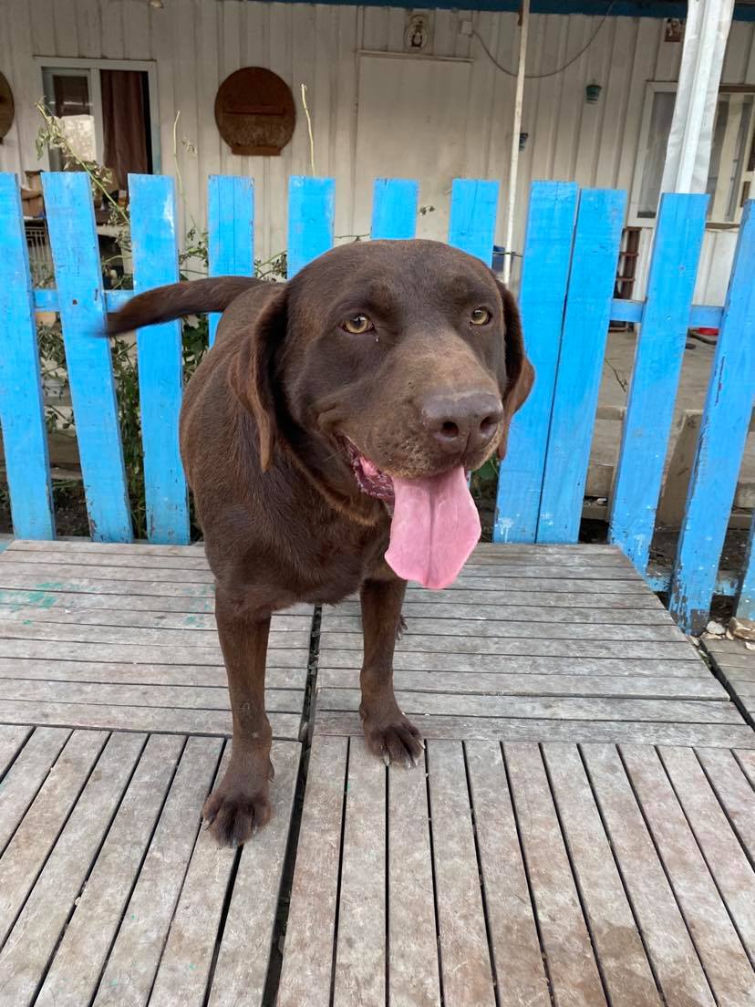 Monty (fka Mocha)